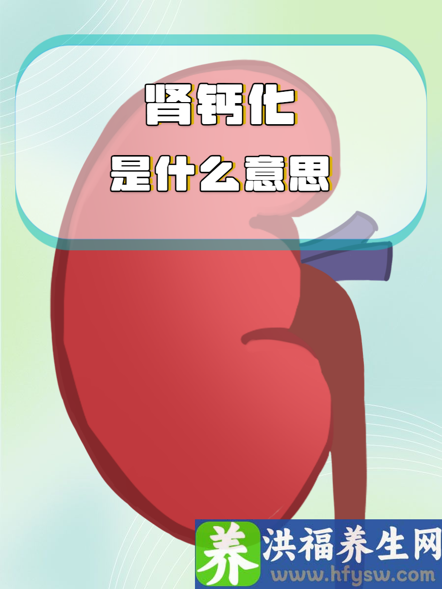 肾钙化是什么意思？解读肾脏异常信号