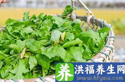 护肝蔬菜第一名 三种蔬菜保护肝脏