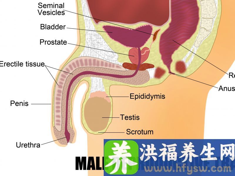 龟头不舒服总感觉灼热怎么办