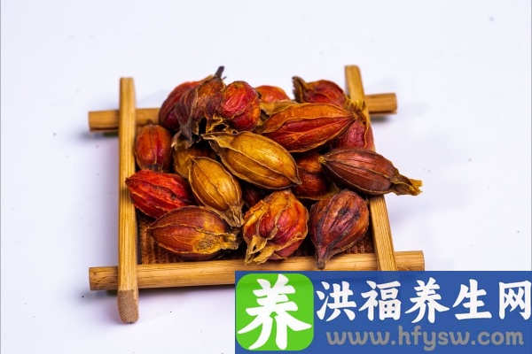 栀子的功效与作用、禁忌和食用方法