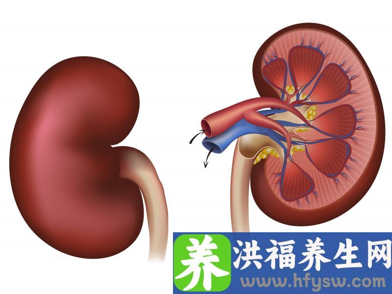 慢性肾炎会变成尿毒症吗？日常做好这3件事，病情会逐步好转