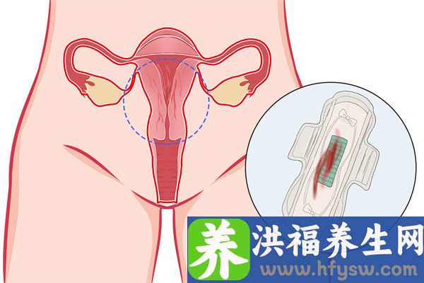月经来可以吃车厘子吗