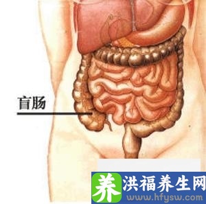 秋季喝什么粥 五款养生粥暖胃健脾