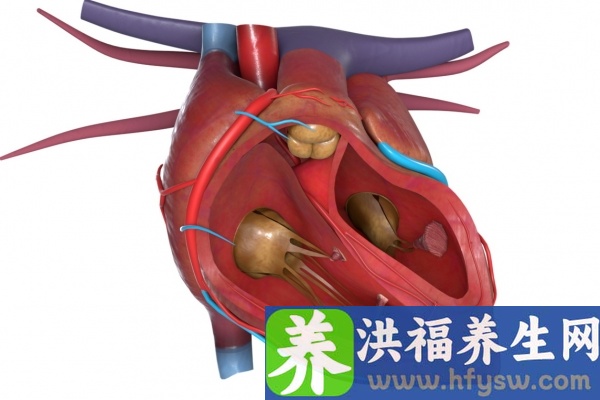 吃什么对心脏好