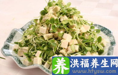 香椿的做法大全 七种做法美味又养生