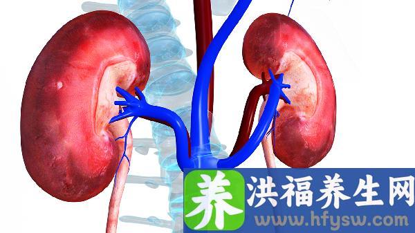 肾功能不全是肾功能衰竭吗？严重吗