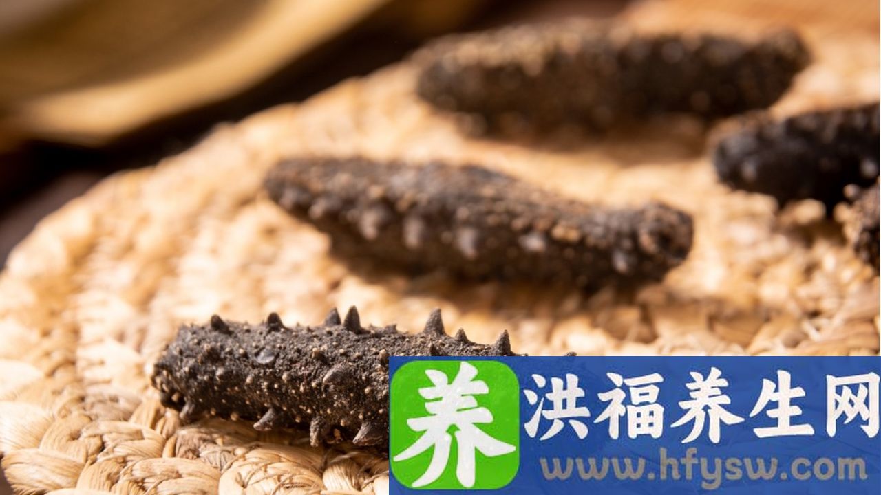 白血病能吃海参吗