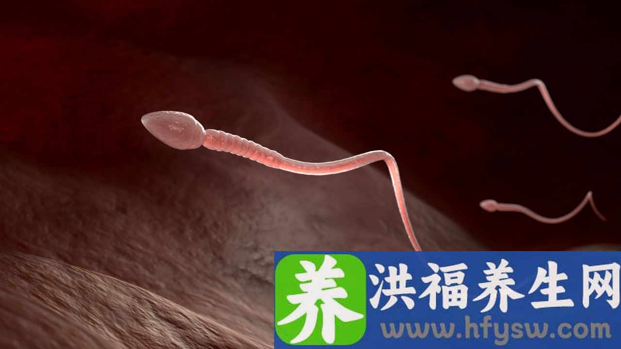 活精和死精有什么区别
