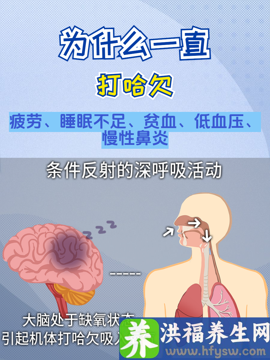 为什么一直打哈欠？全面解析