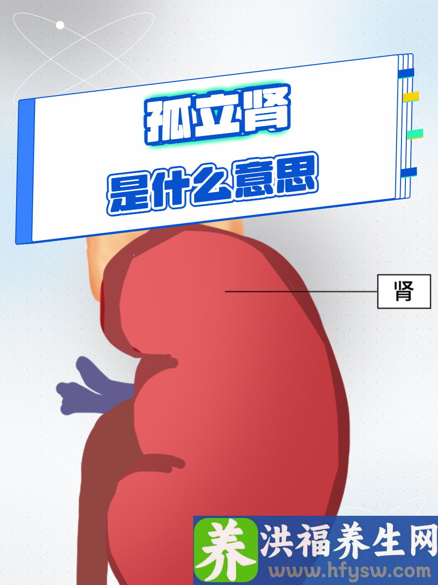 孤立肾是什么意思？带你全面了解这一先天异常