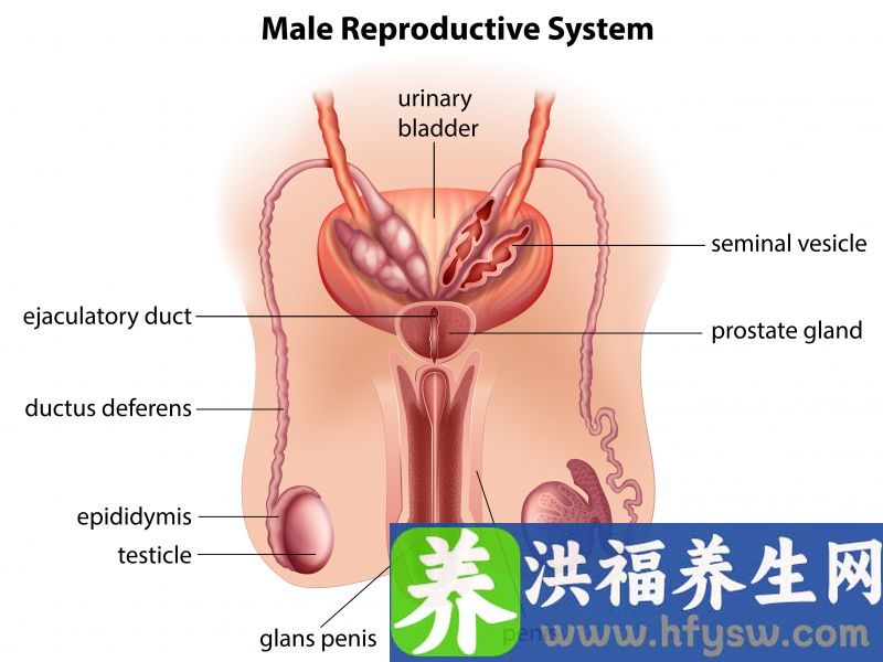 5个因素带来精子危机？做好2件事，全方位提高精子质量