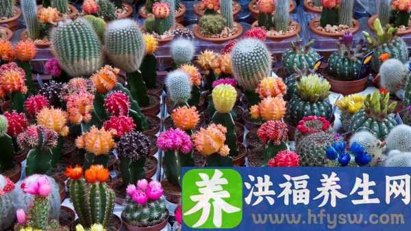 卵泡发育不良调理多长时间