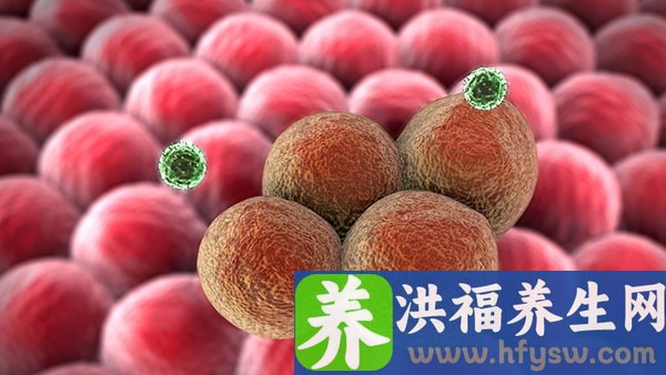 梅毒的传播途径有哪几个？预防梅毒应遵循什么原则？