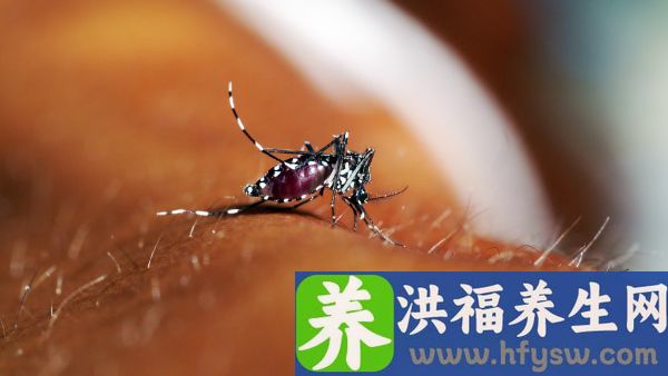 血肌酐降低代表什么意思