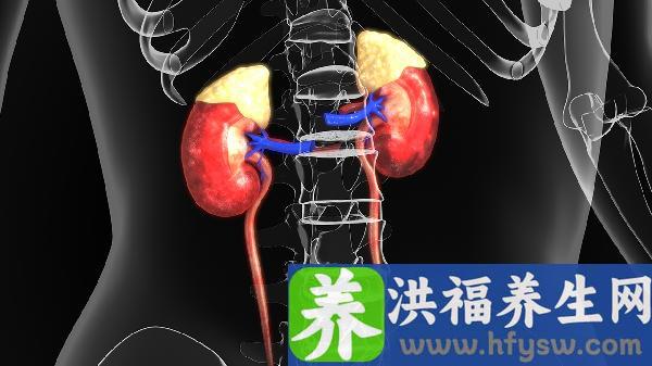 肾积水患者的日常饮食注意事项是什么