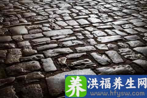 养脾补肝的食物有哪些
