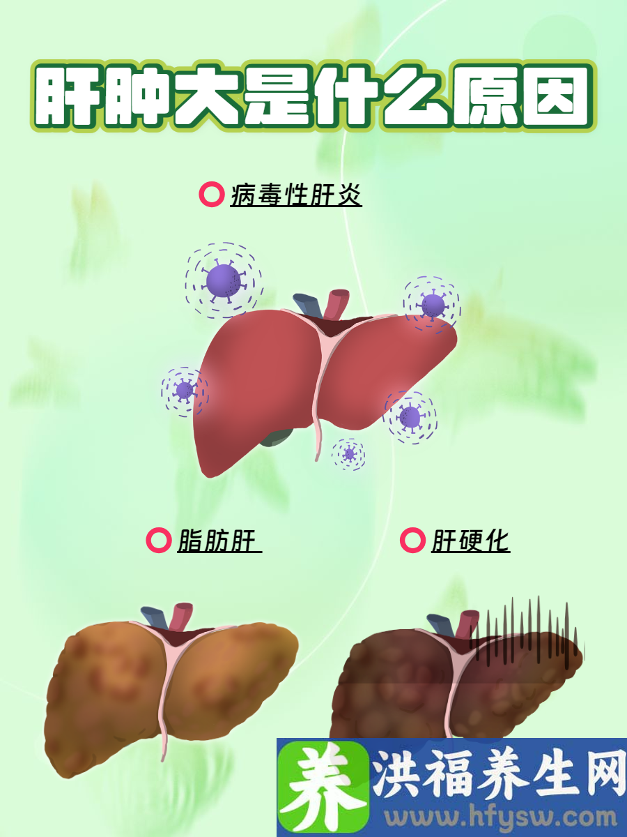 肝肿大是什么原因？警惕这些潜在病因