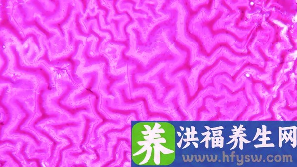 新华去痛片是抗病毒的药吗 去痛片的主要成分有哪些？