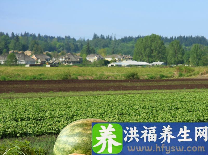 吃素不可太过于盲目，陷入素食4大误区，会毁了你的身体