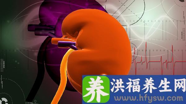 一文解析！尿肌酐高是怎么回事