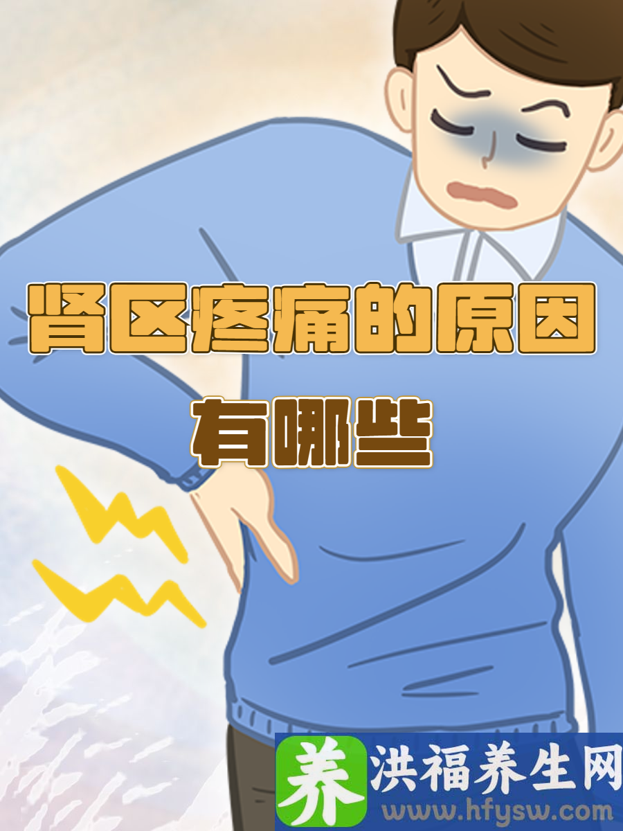 肾区疼痛的原因有哪些？深度剖析其原因