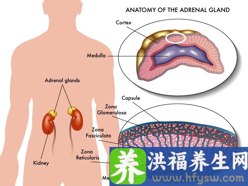 肾功能不好的人，多能感觉到3种“怪象”，一发现需重视