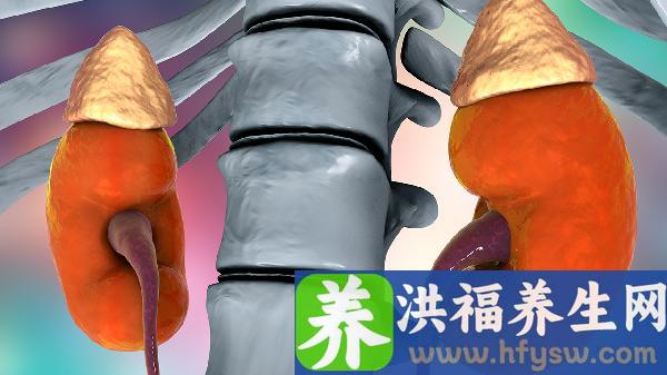 肾肿瘤是怎样形成的原因呢