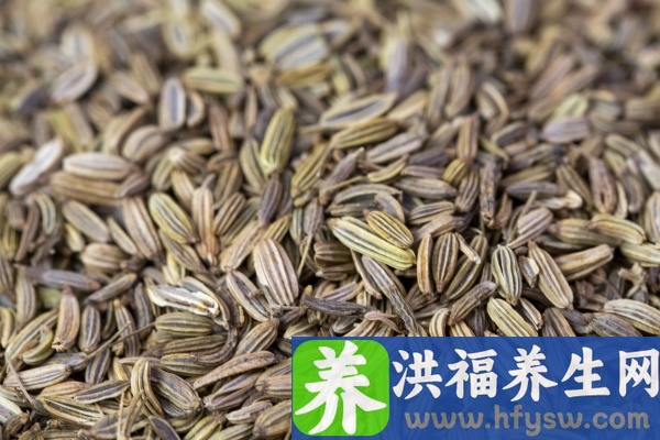 茴香的功效与作用、禁忌和食用方法