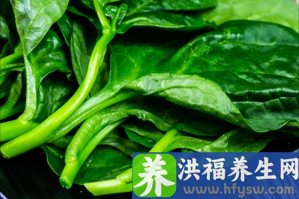 木耳菜的功效与作用、禁忌和食用方法