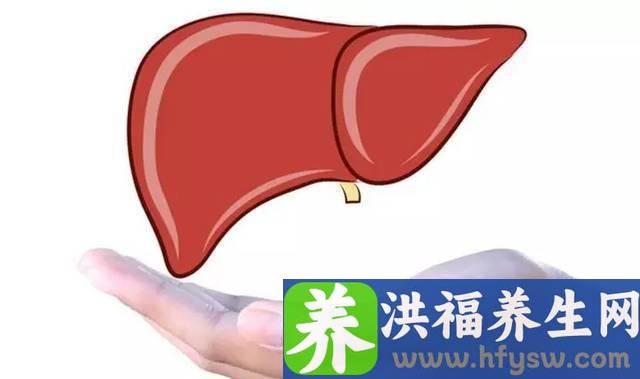 养生先从养肝开始，这三类食物是肝脏的最佳搭档，你早上有吃对吗