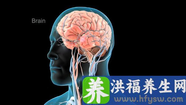 心律多高是正常