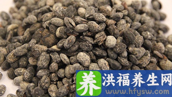 解脲支原体感染怎么用药