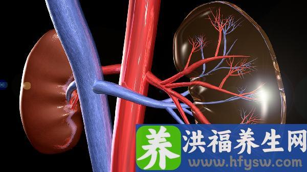 肾衰竭可以吃什么水果蔬菜好