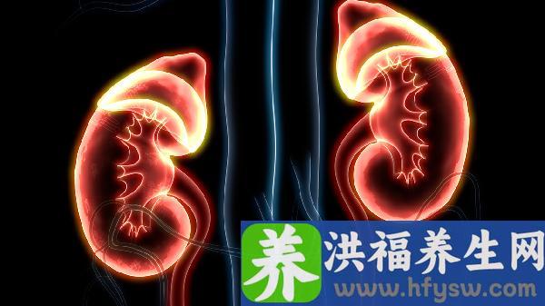 儿童紫癜性肾炎需要休学吗