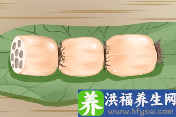 莲藕的功效与作用、禁忌和食用方法