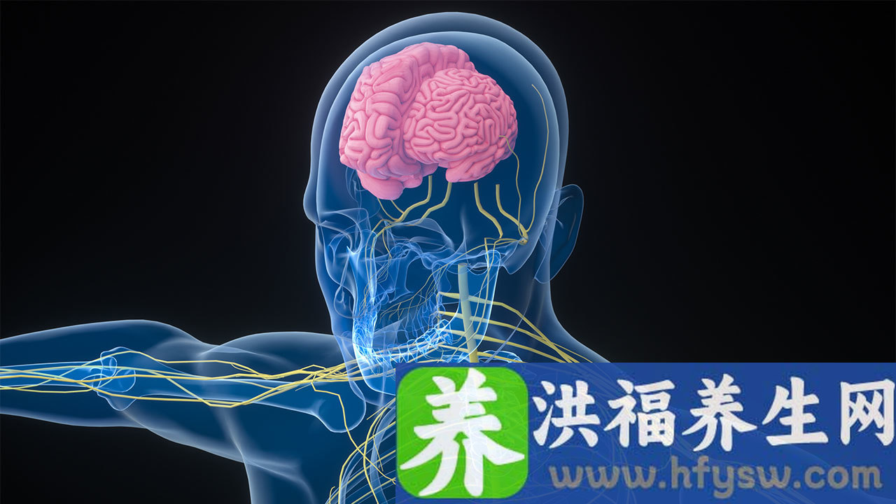 小脑萎缩怎么治疗