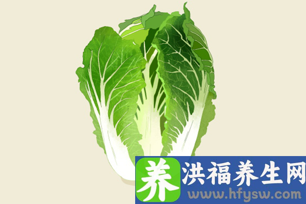 白菜的功效与作用、禁忌和食用方法
