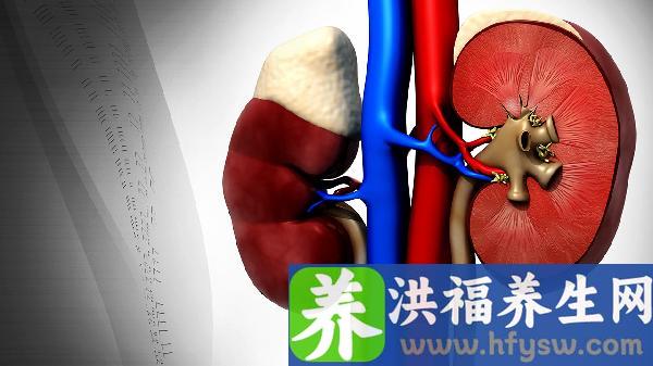 尿素氮偏高应该怎么办