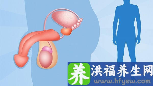 男性阴茎小短怎么办? 阴茎小短的男性用这几个方法变长
