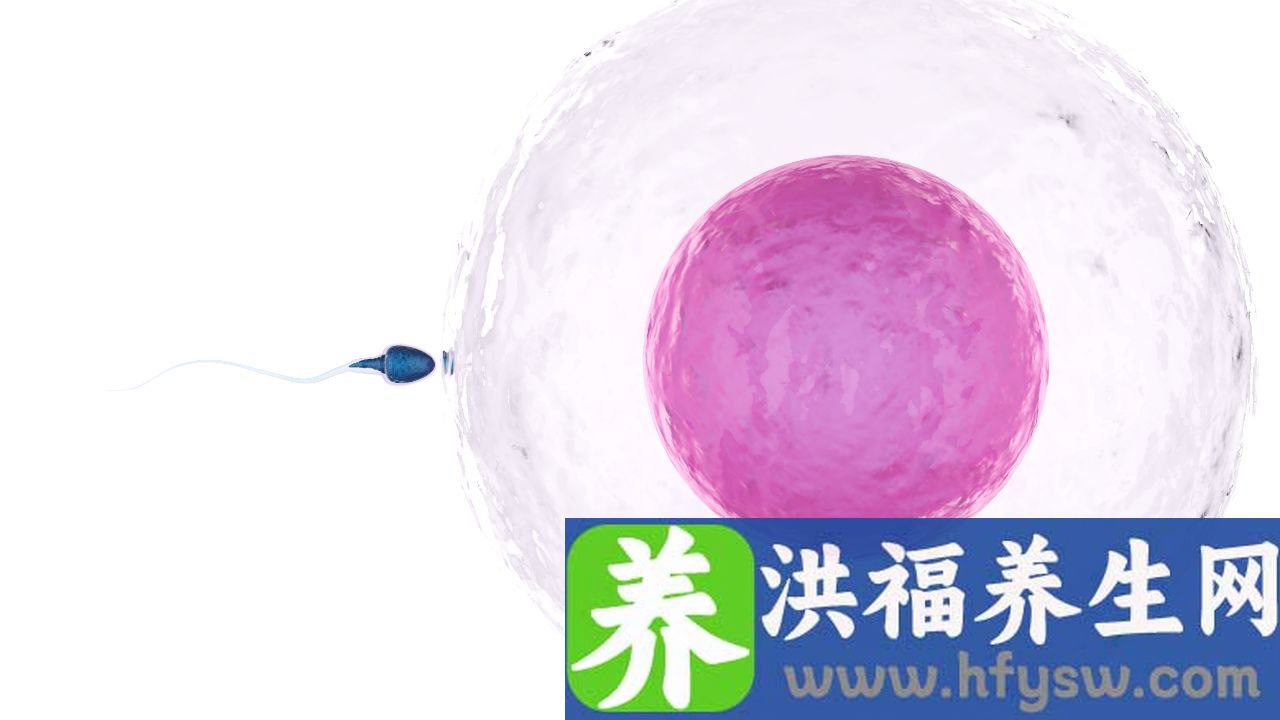 男子精子弱是什么原因造成的