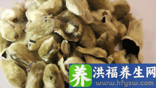 辛夷鼻炎丸和香菊胶囊能一起吃吗 野菊花胶囊能和藿香正气胶囊一起吃吗