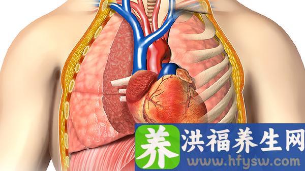 脑血管堵塞吃什么药比较好