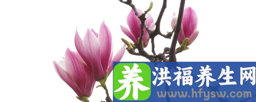 春天补水吃什么好 这十种蔬果让你水嫩嫩