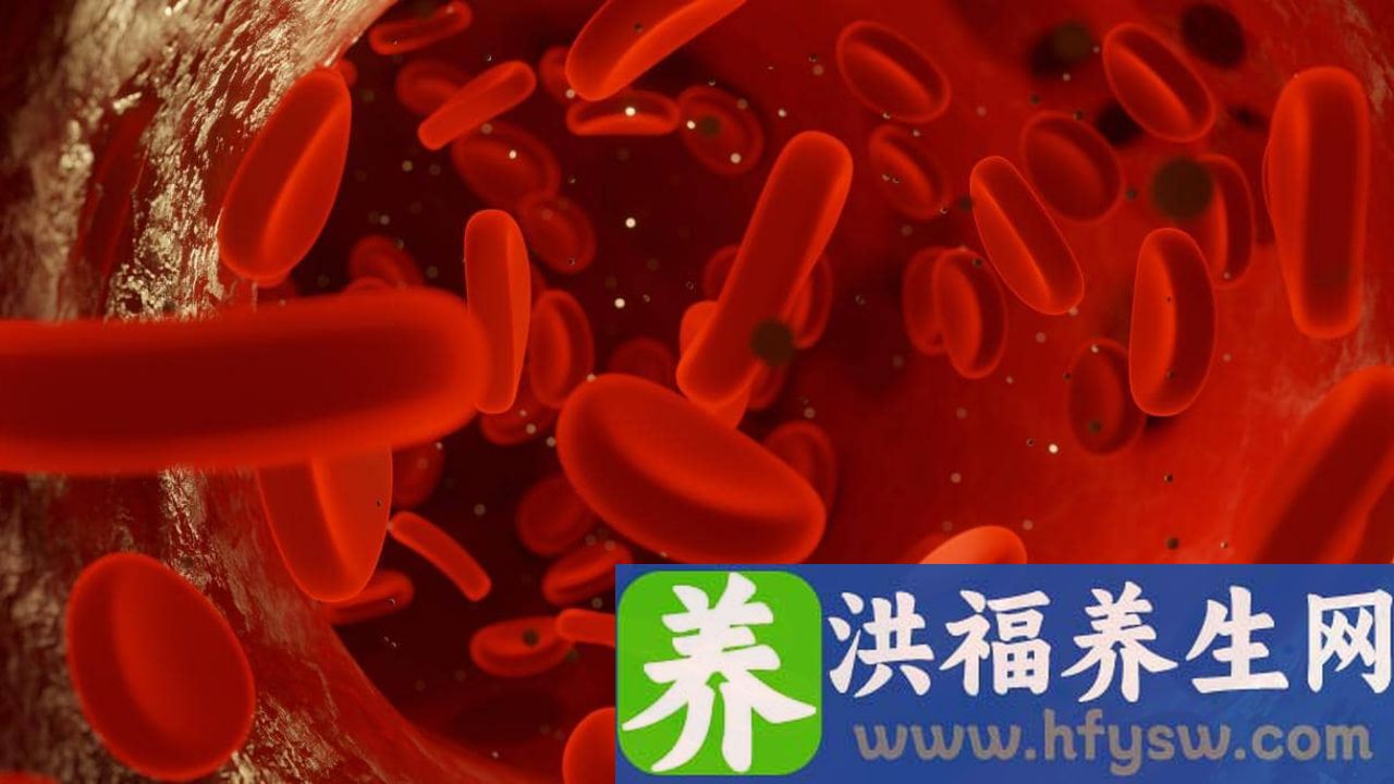 谷丙转氨酶偏高的原因