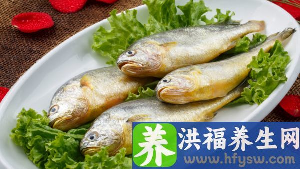 尿道炎能吃鱼吗
