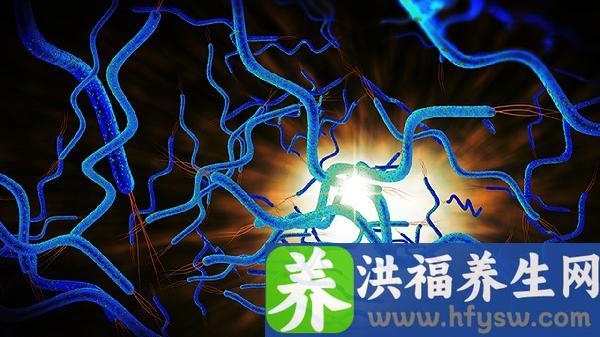 造血干细胞是什么