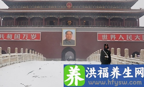 茄子的做法大全 五款做法美味又营养