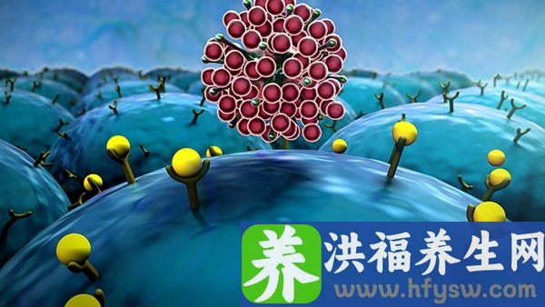 跟跟尖锐湿疣同房了有什么阻断药吗