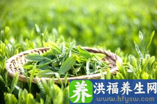 五谷食疗养生配方功效惊人 常喝健康每一天