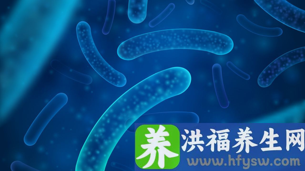 什么是沙门氏菌属